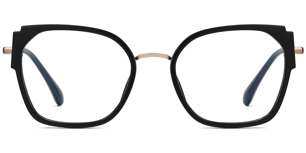 Frame front view