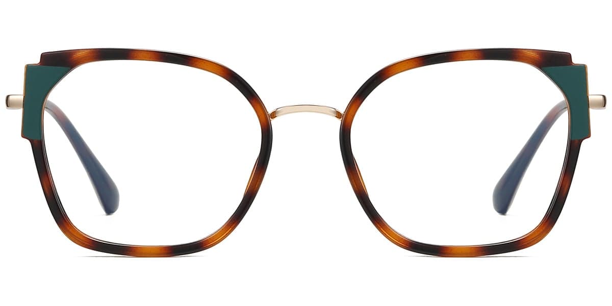 Frame front view
