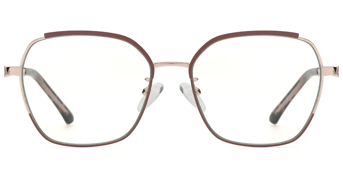 Frame front view