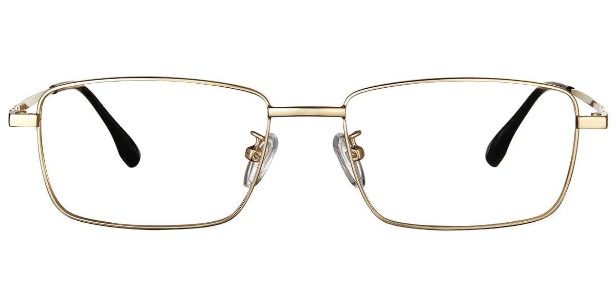 Frame front view