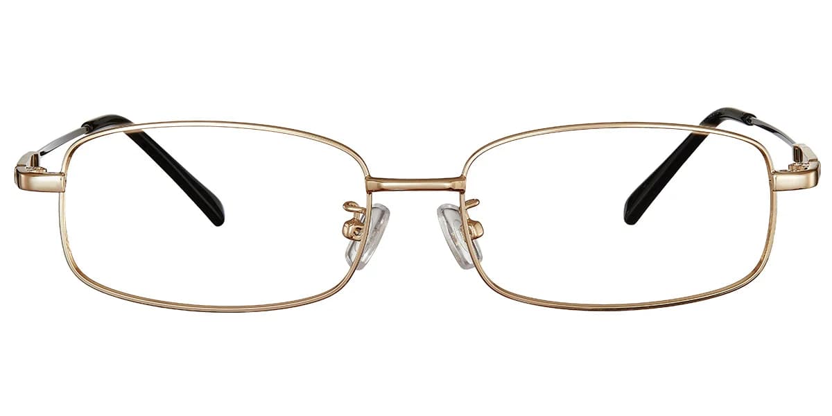 Frame front view