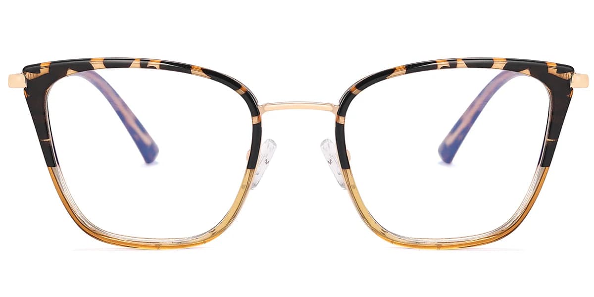 Frame front view