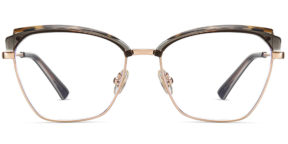 Frame front view