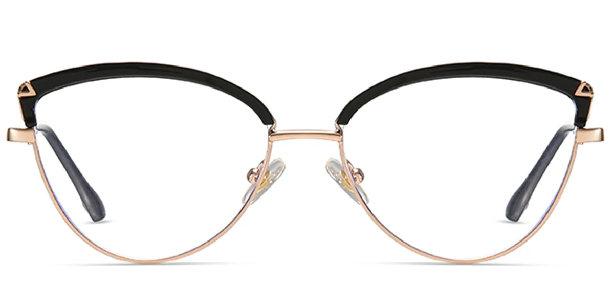 Frame front view