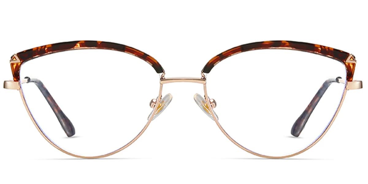 Frame front view
