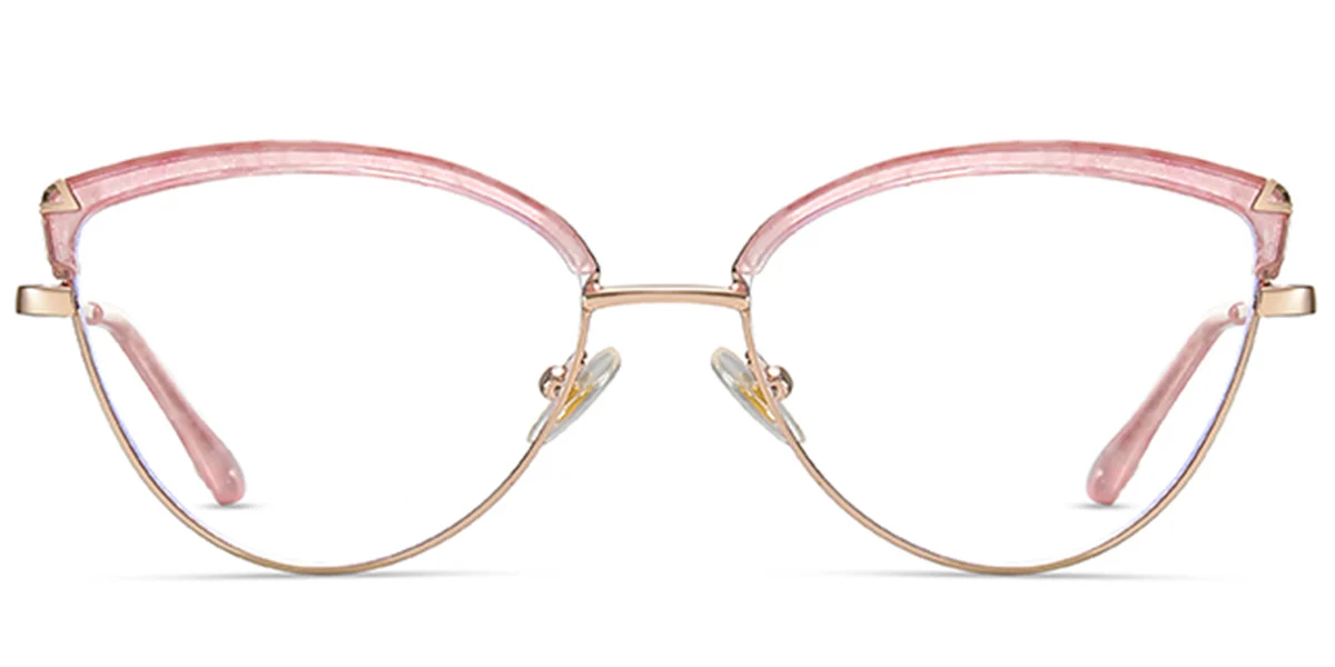Frame front view