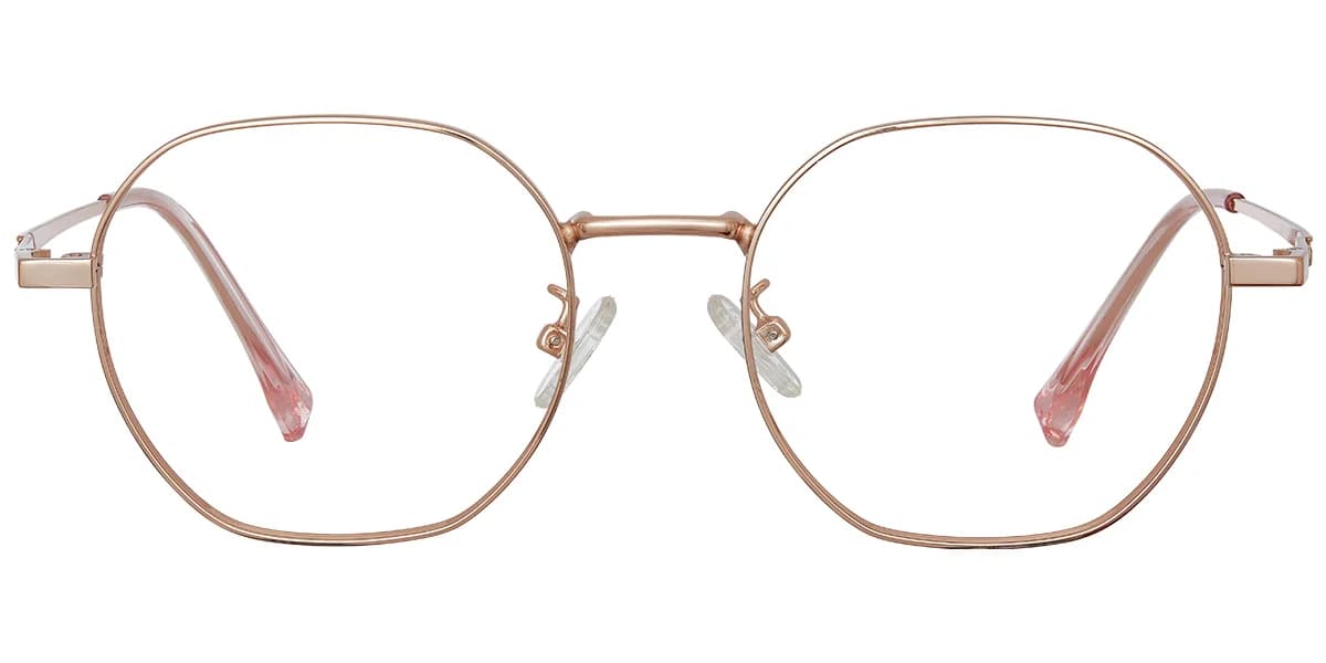 Frame front view