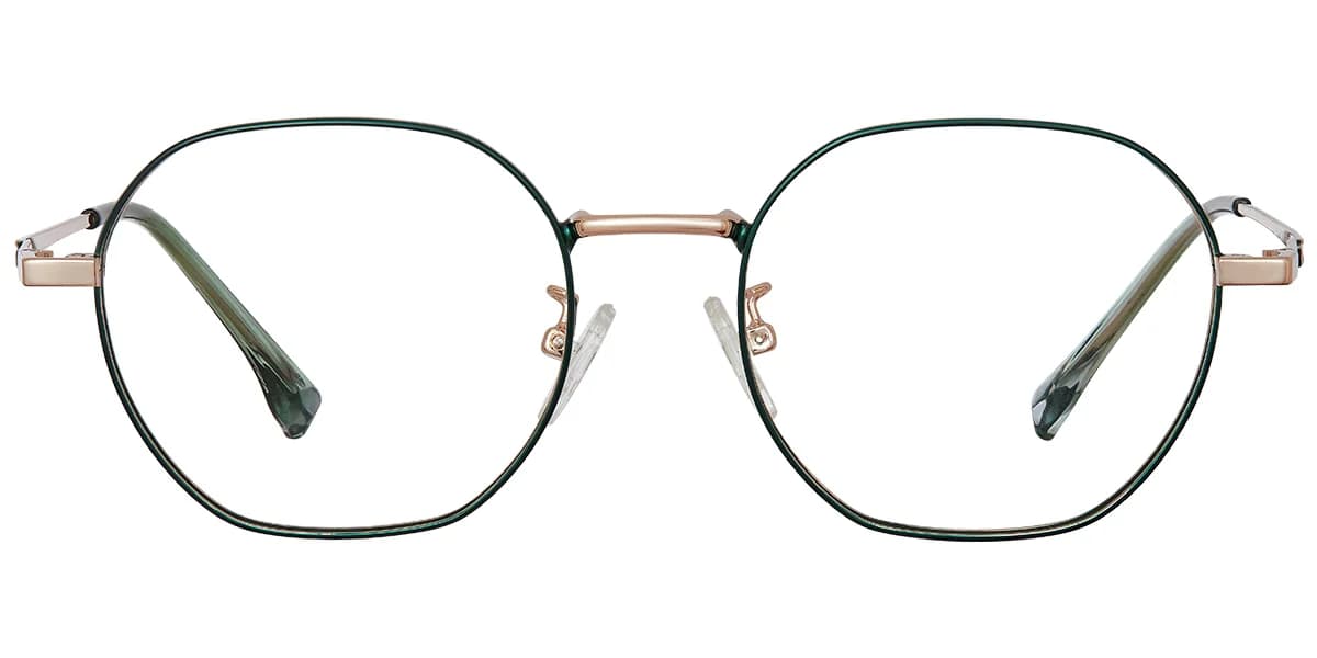 Frame front view