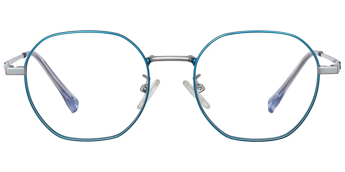 Frame front view
