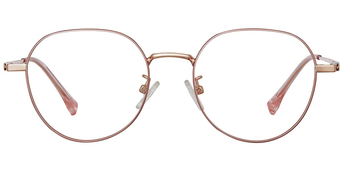 Frame front view