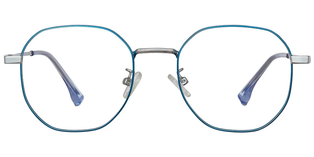 Frame front view