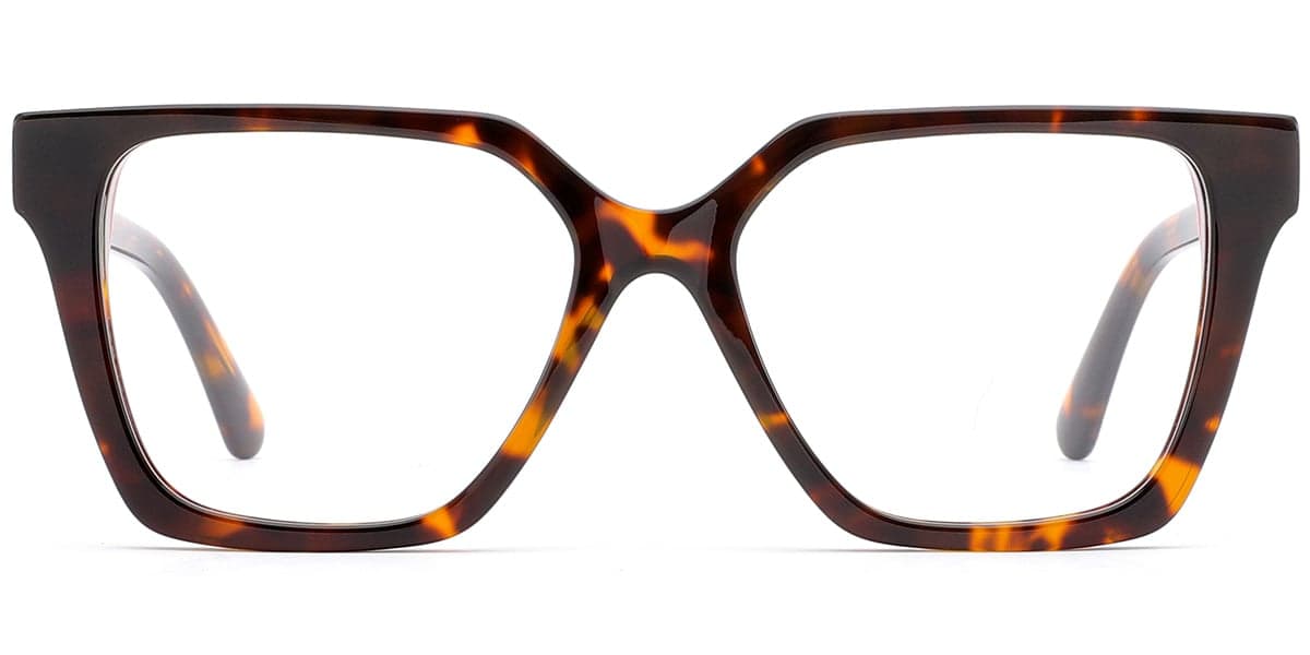 Frame front view
