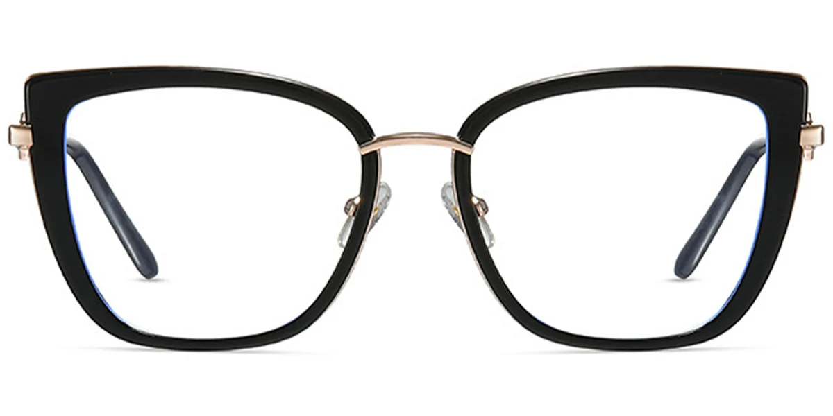 Frame front view