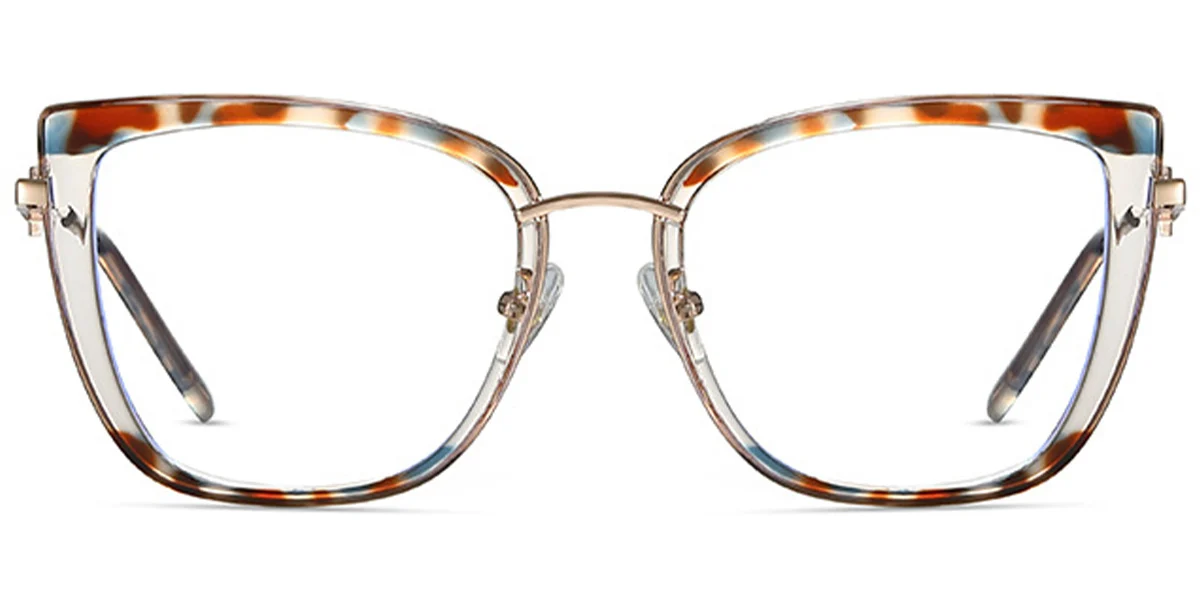 Frame front view