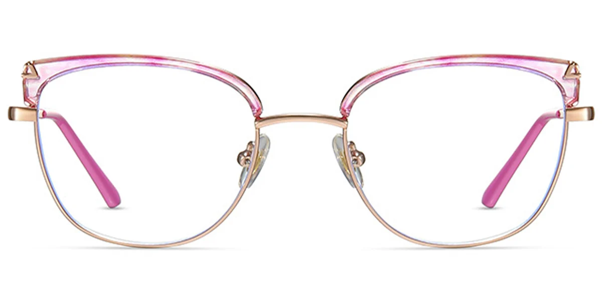 Frame front view