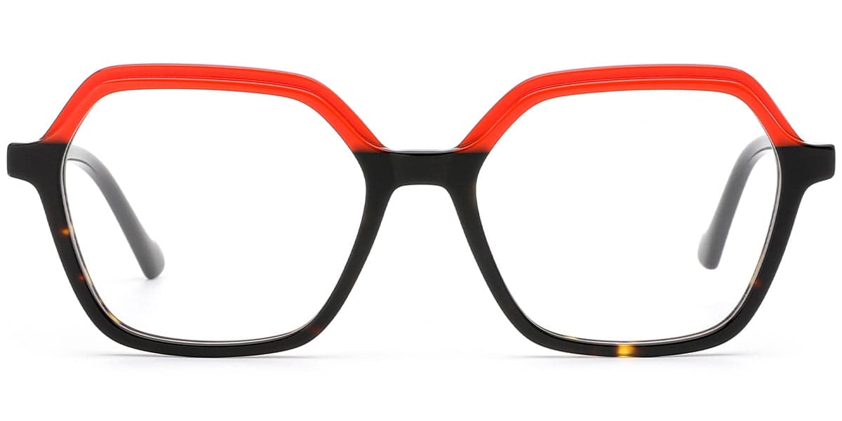 Frame front view
