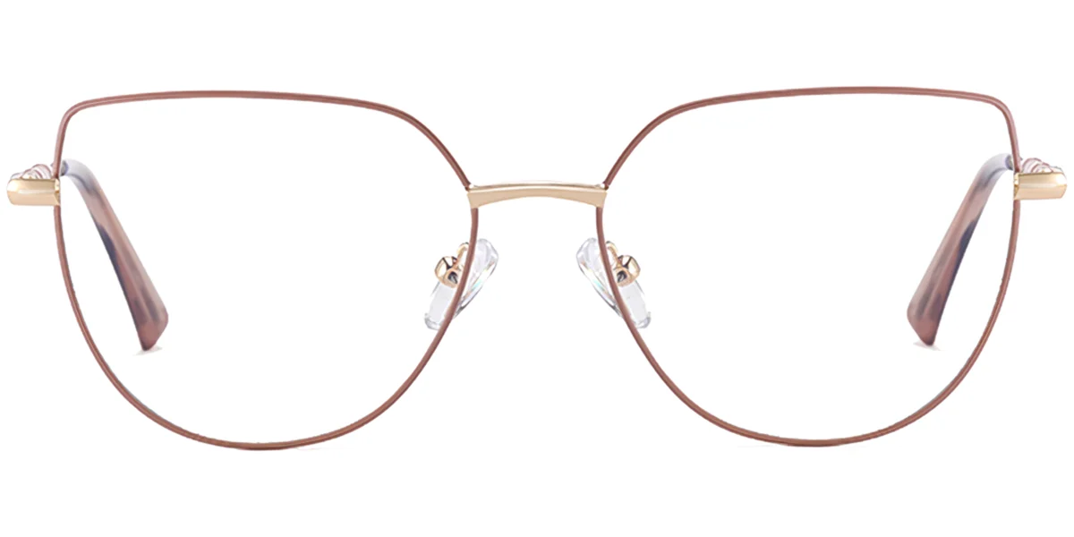 Frame front view