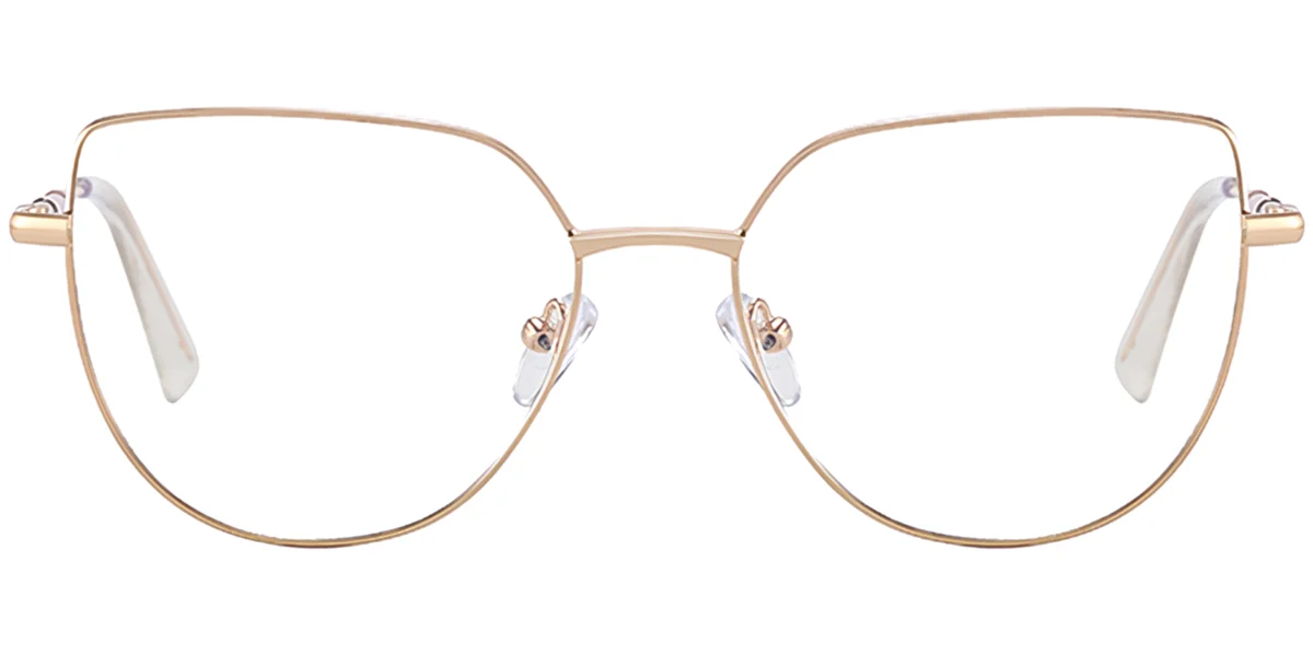 Frame front view