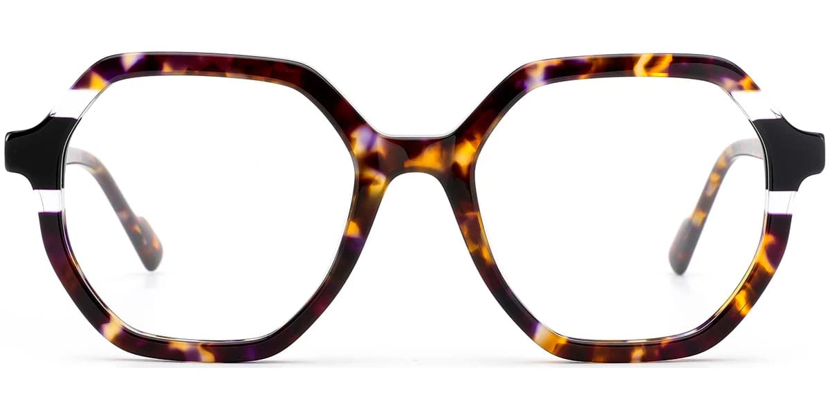 Frame front view
