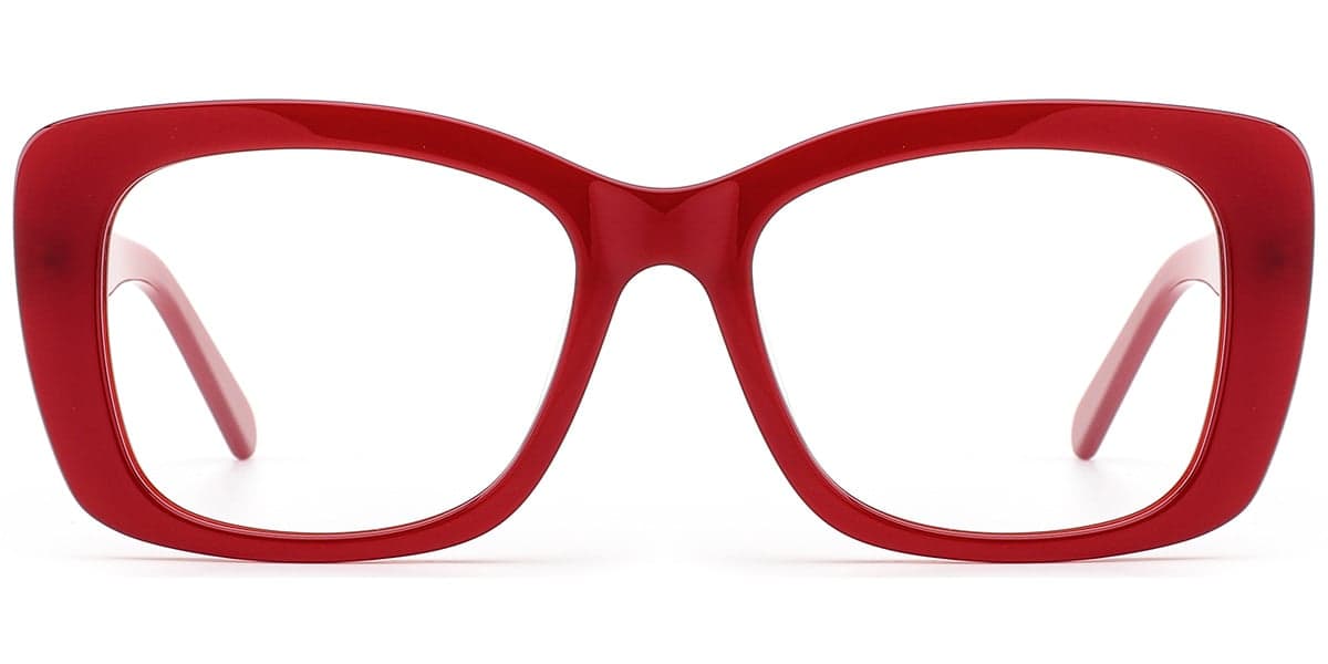 Frame front view