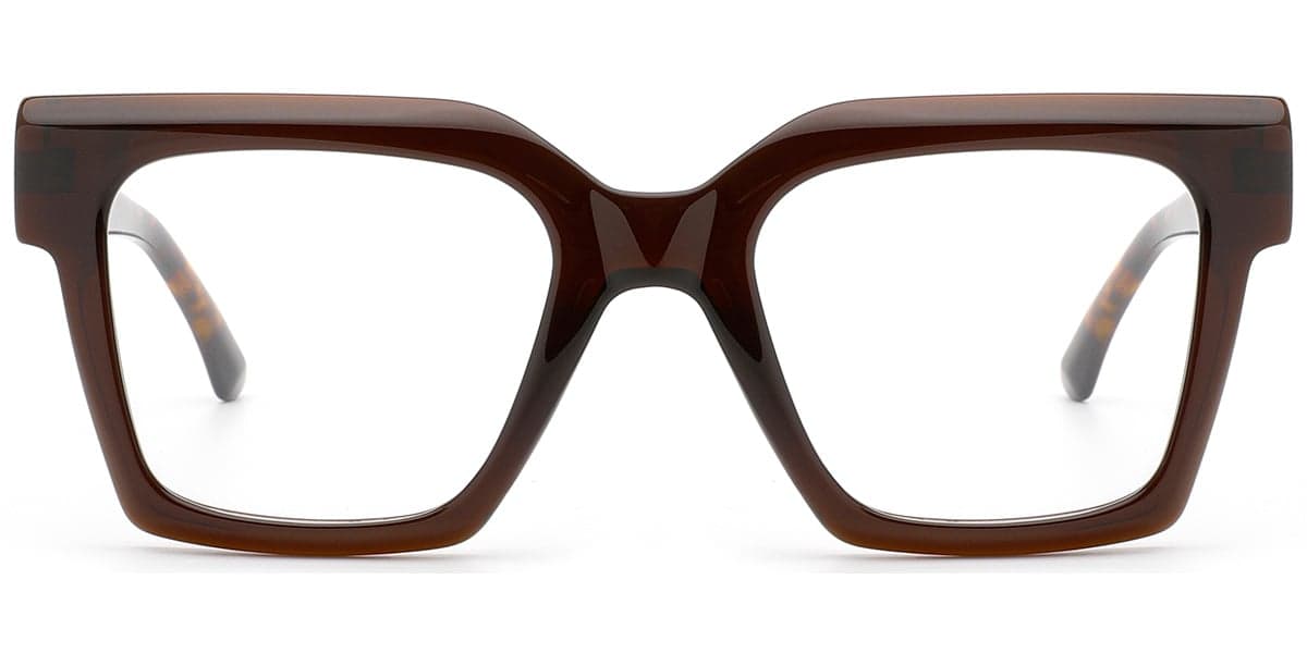 Frame front view