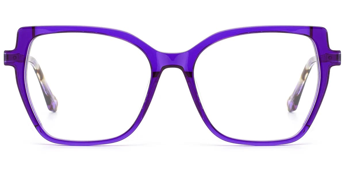 Frame front view