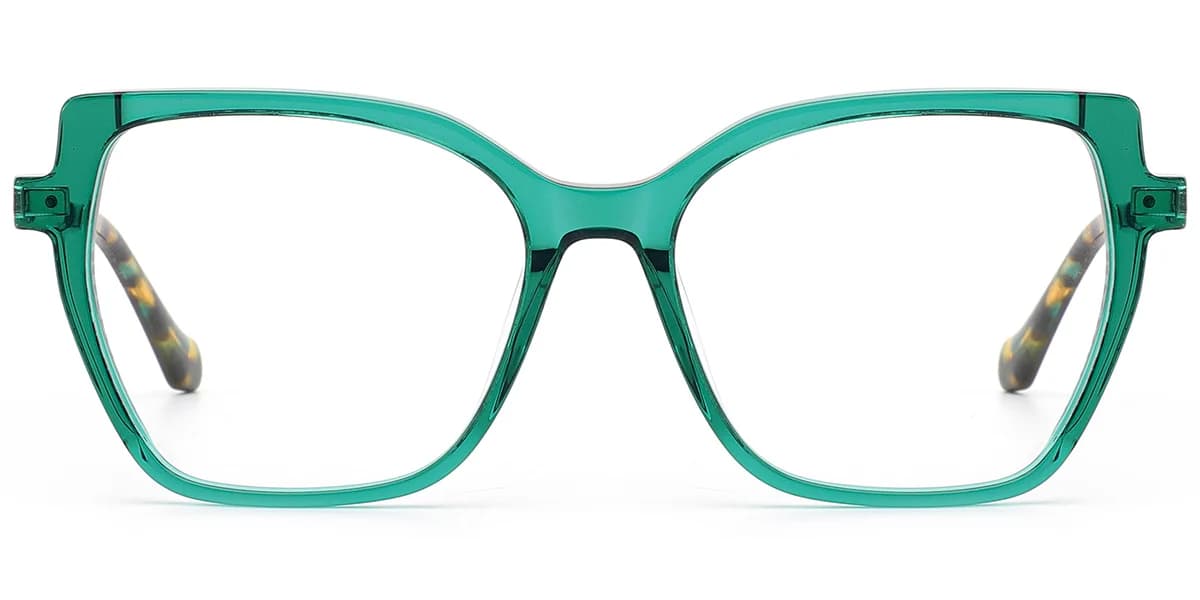 Frame front view