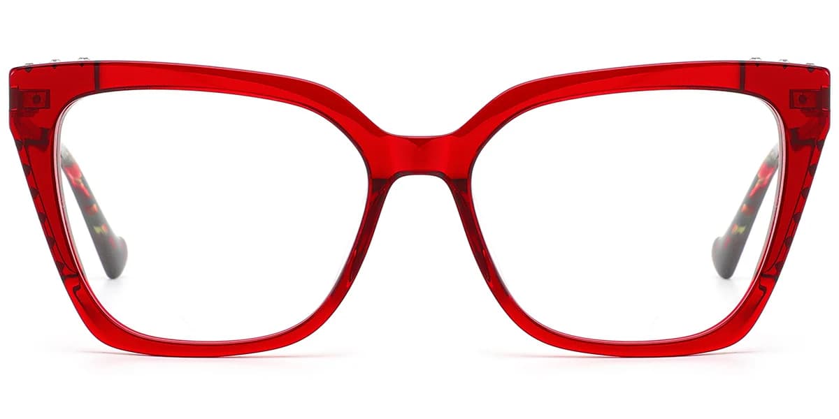 Frame front view