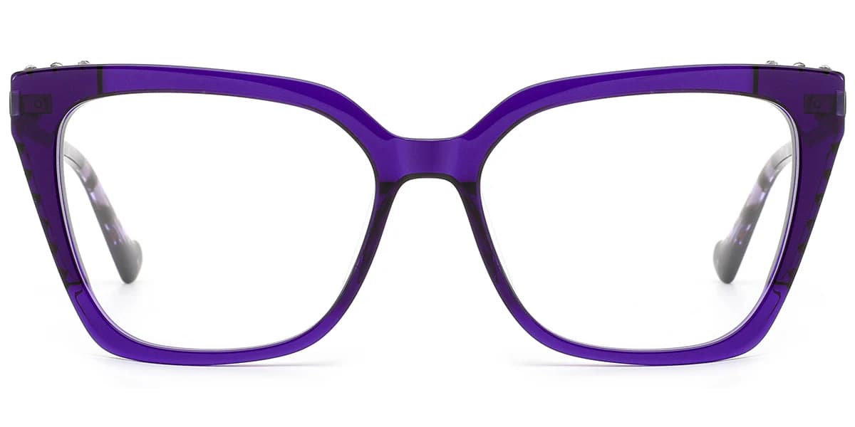 Frame front view