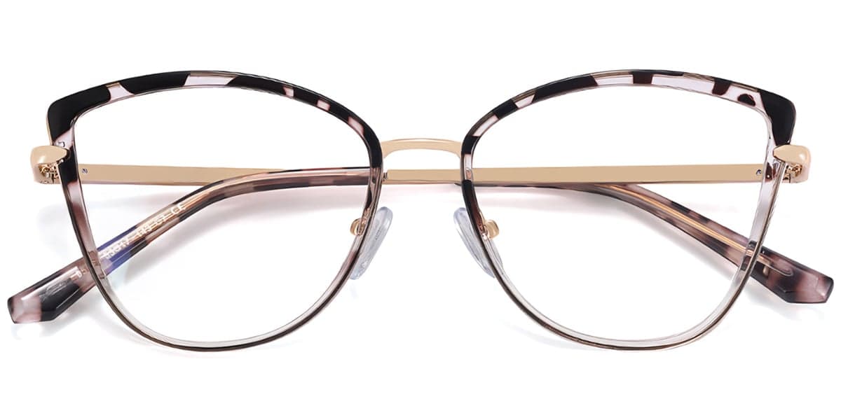 Frame front view