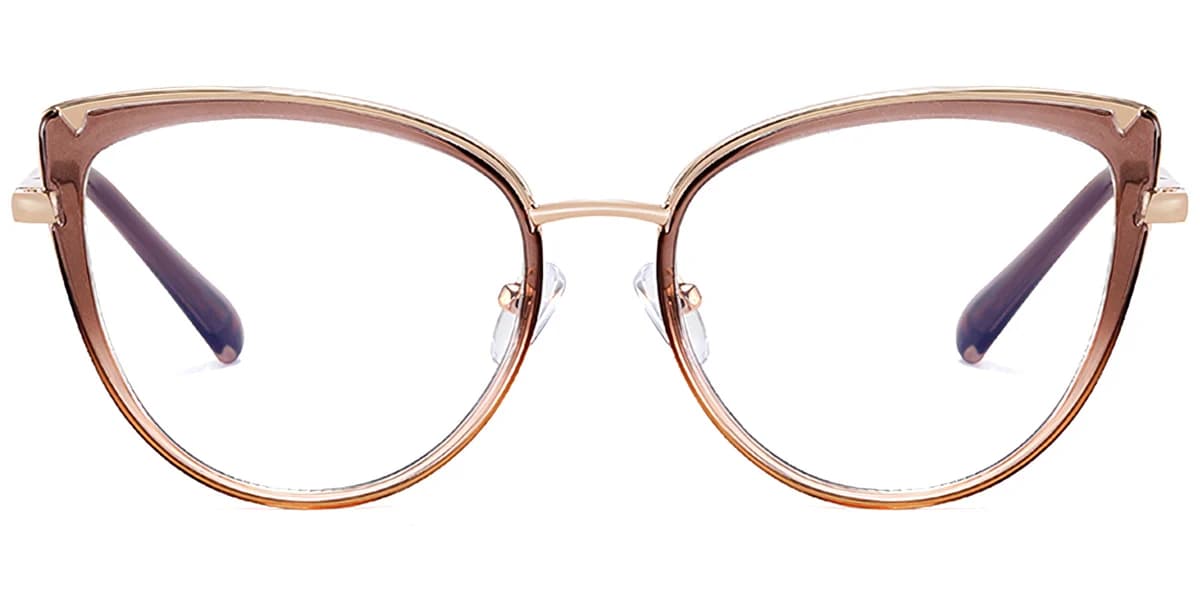 Frame front view