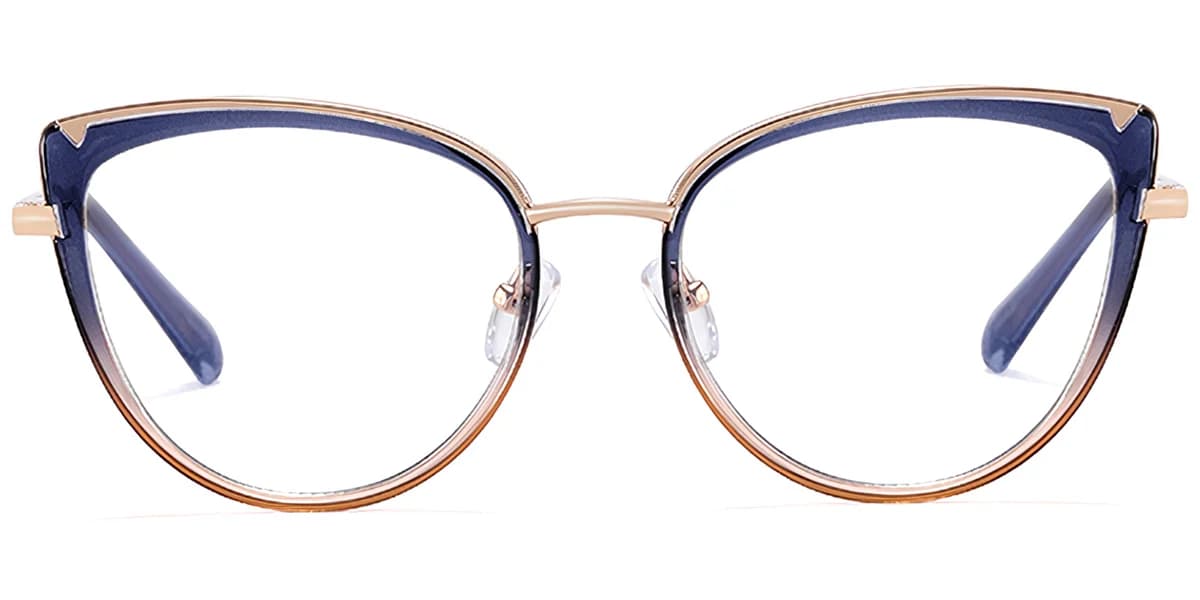 Frame front view