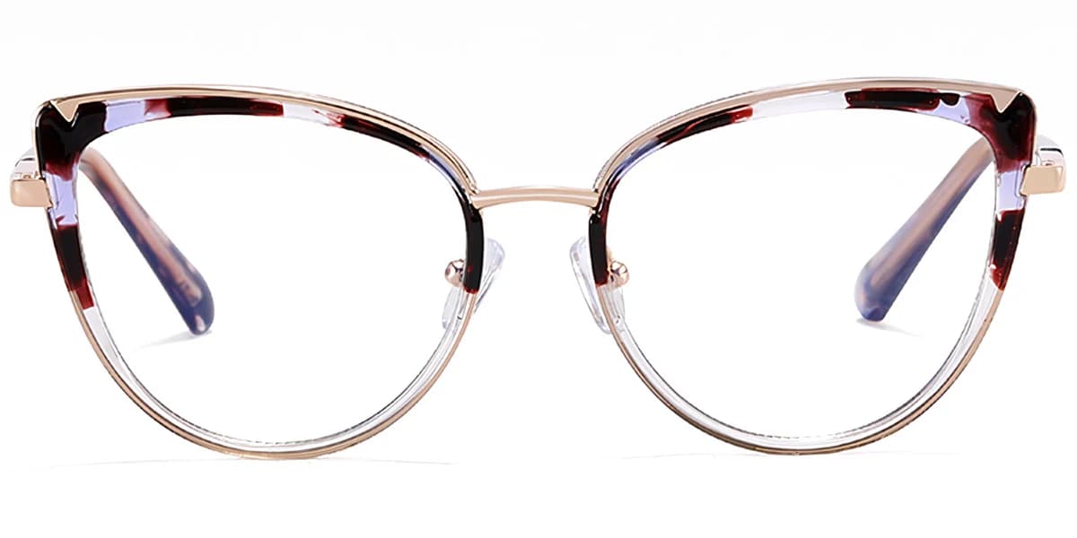 Frame front view