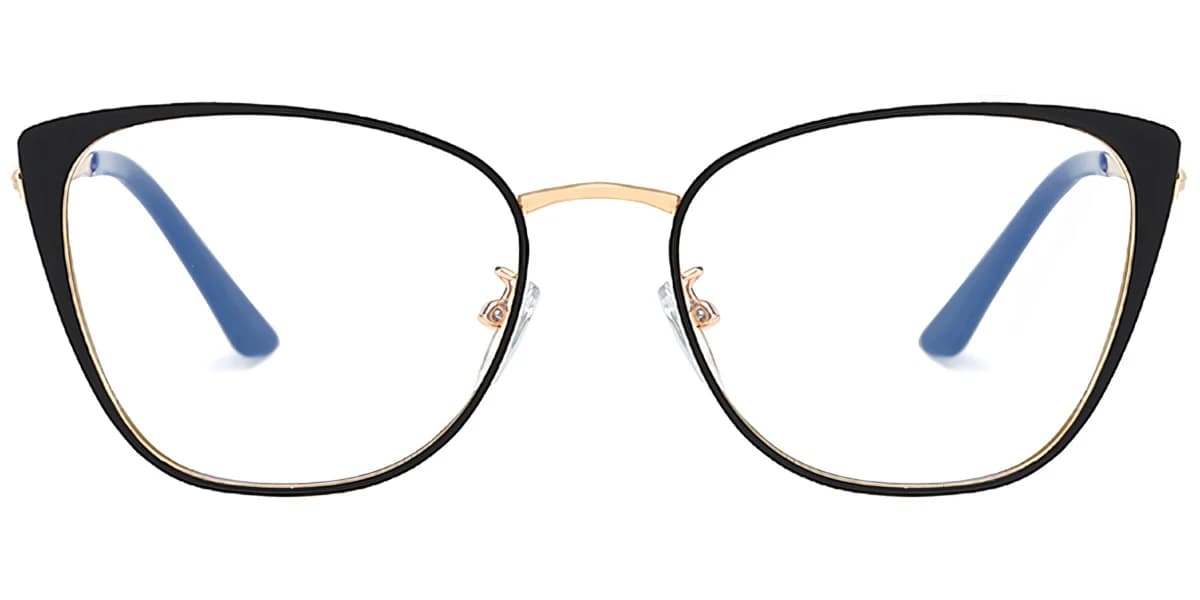 Frame front view