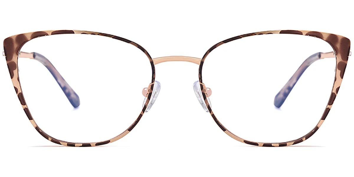 Frame front view