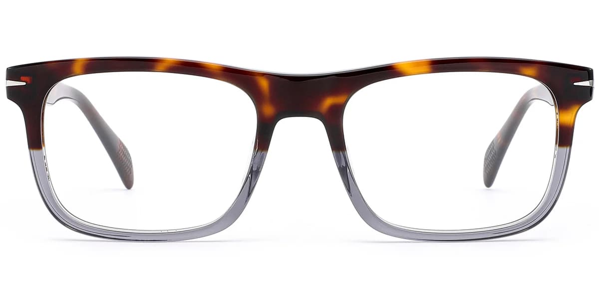 Frame front view