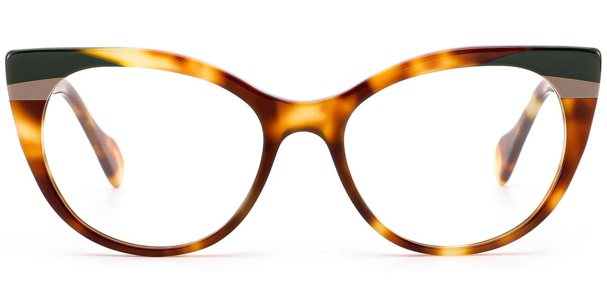 Frame front view