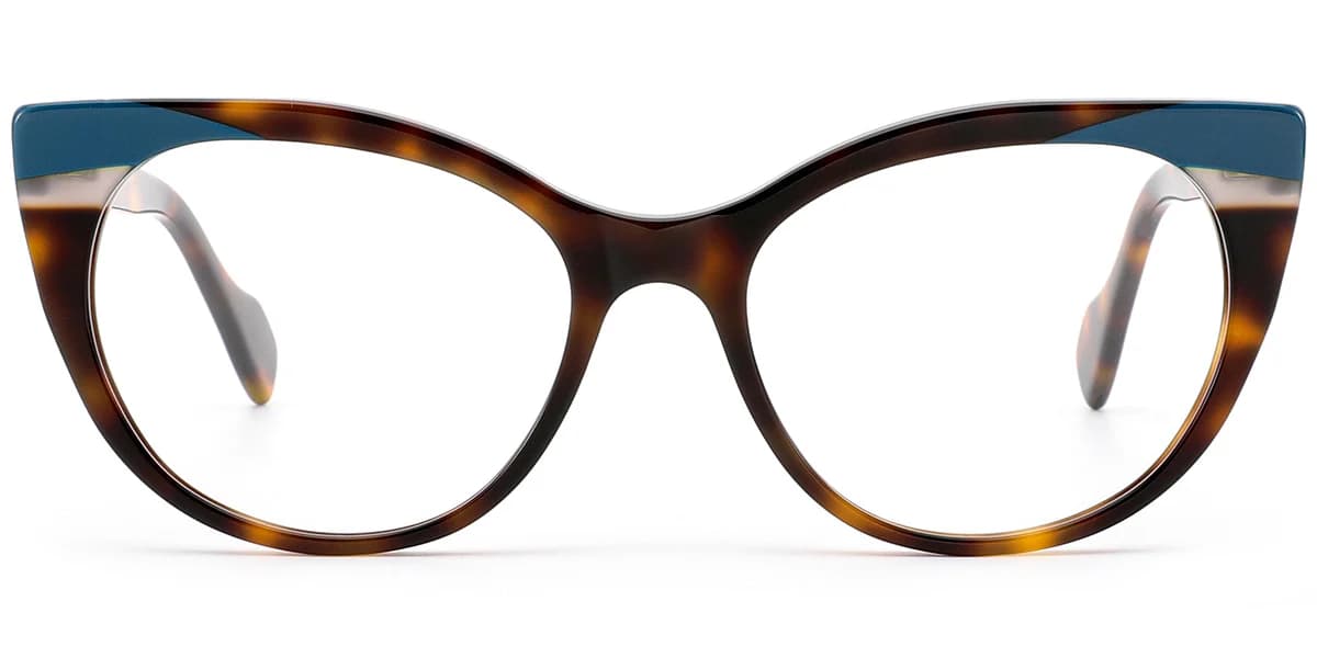 Frame front view