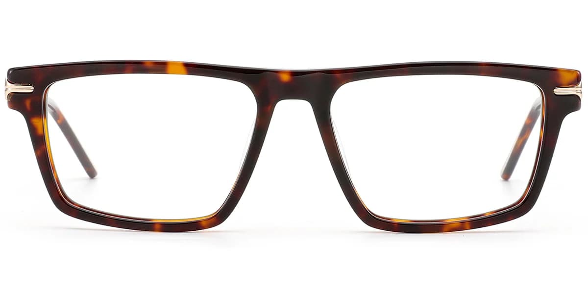 Frame front view