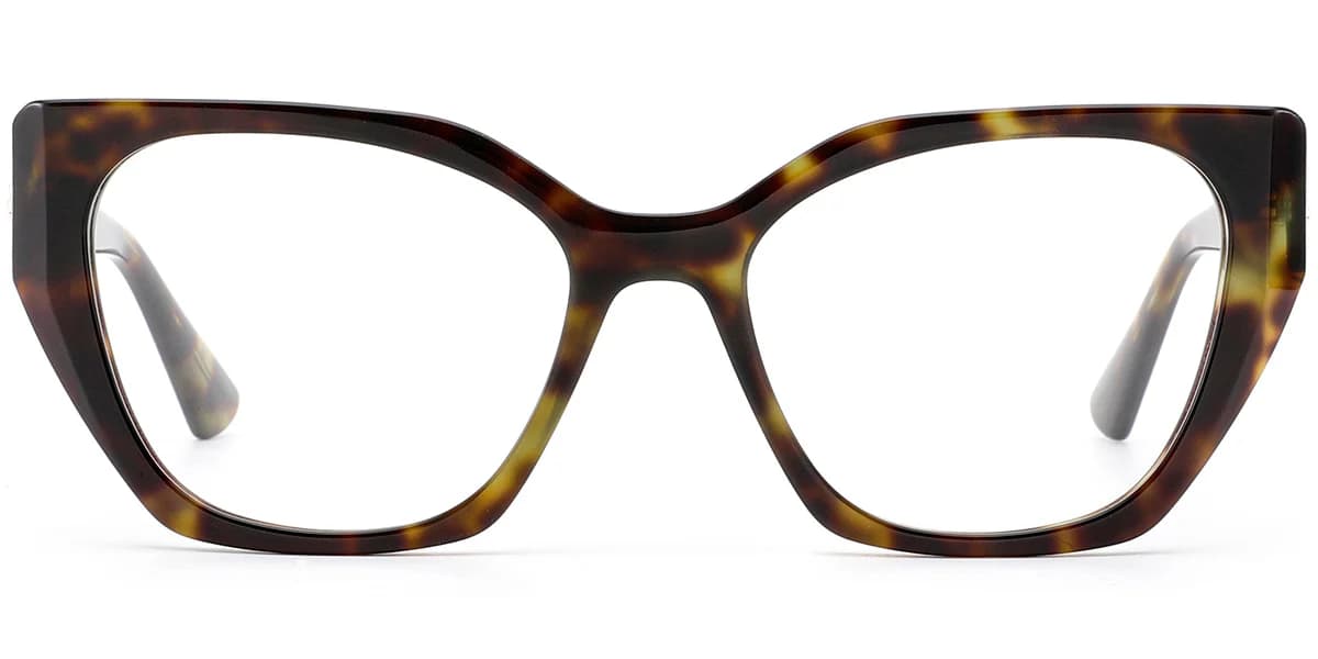 Frame front view