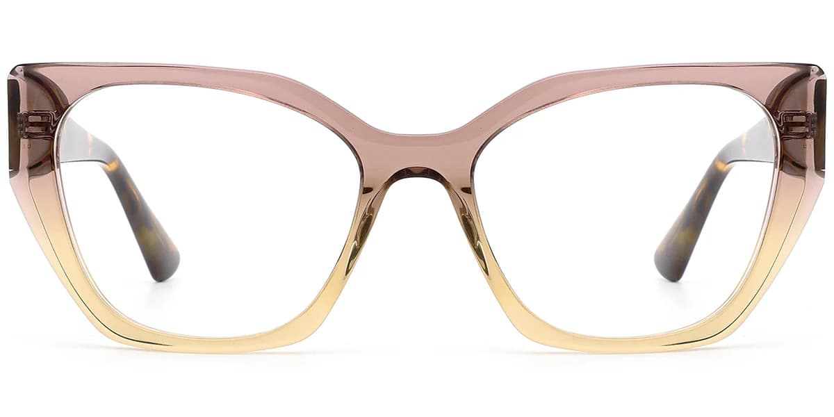 Frame front view