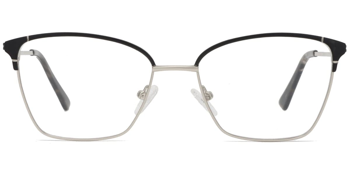 Frame front view