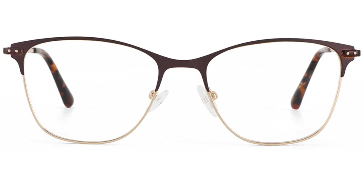 Frame front view