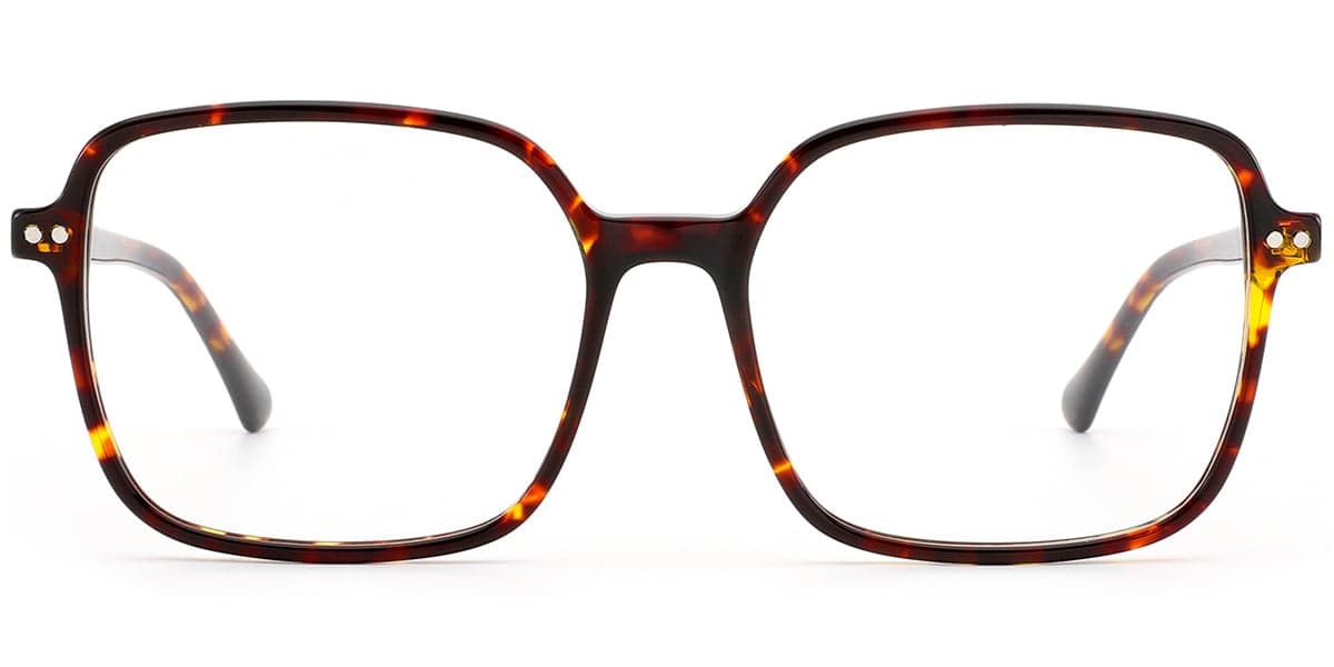 Frame front view