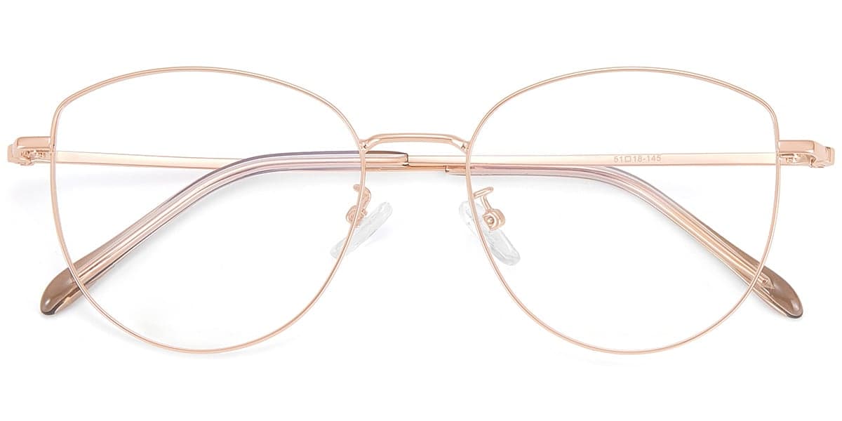 Frame front view