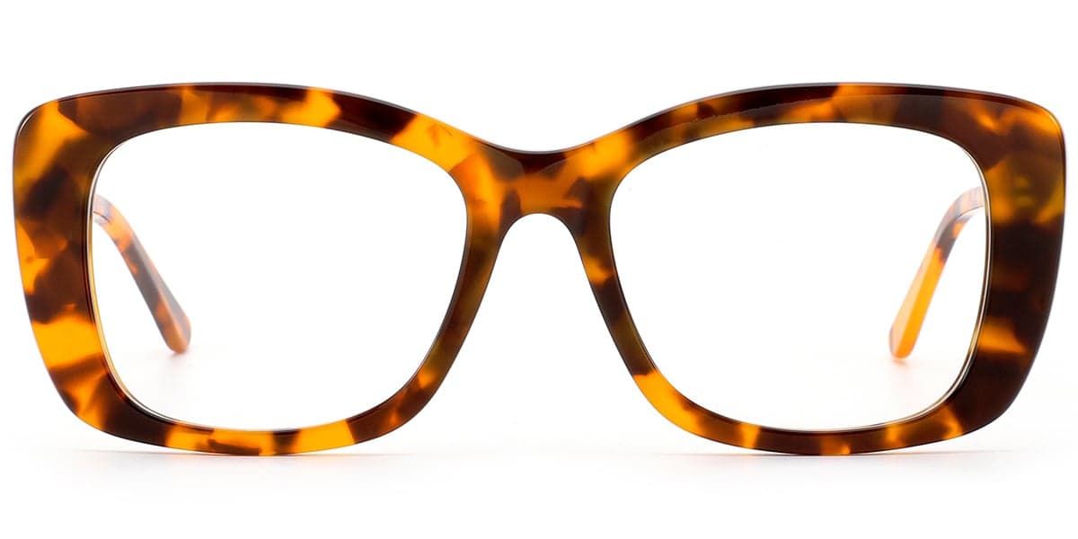 Frame front view