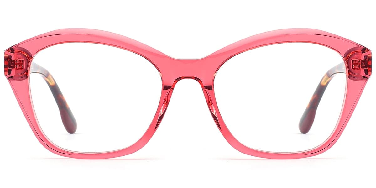 Frame front view