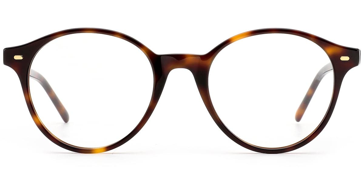 Frame front view