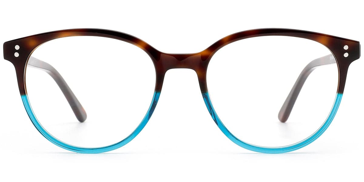 Frame front view