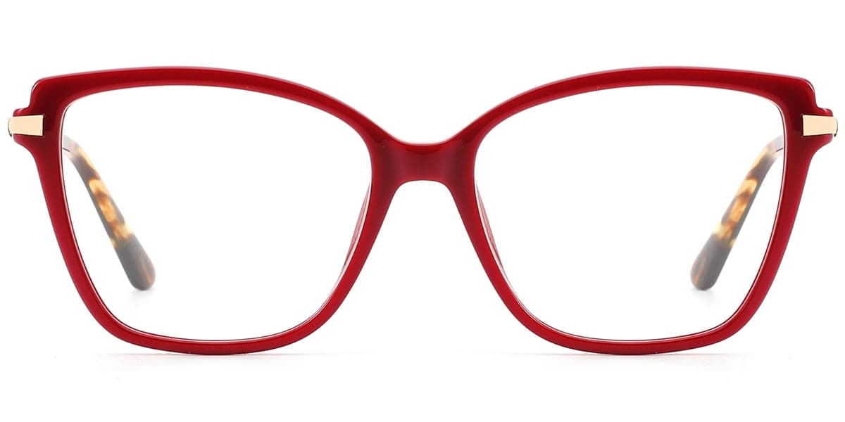 Frame front view
